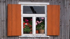 Forget Glass, Now Transparent Wood To Brighten Homes!