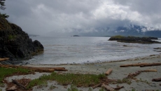 No major issues after B.C.'s first fall windstorm