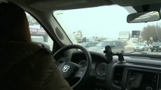 15 Sex Assault, Indecent Act Complaints Against Winnipeg Cabbies