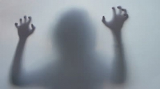 Woman files civil suit against three Mounties and City of Williams Lake, B.C.