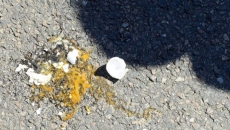 Woman hit with egg on Halloween treated in hospital, RCMP investigating as assault