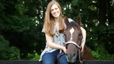 Horses not affected by rider's sex