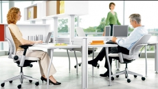 Sharing workspace with opposite sex boosts productivity