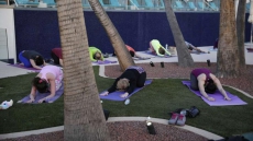 The New Vegas Namaste: Yoga On A Ferris Wheel, Near Dolphins