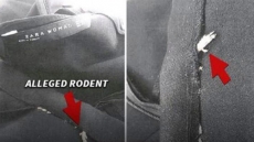 US Woman Finds Dead Rat Sewn Into New Zara Dress!