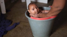 5 Things To Know About The Mosquito Villain In Zika Outbreaks