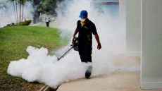 Where's Zika Going Next? Maybe China, India, Or Nigeria