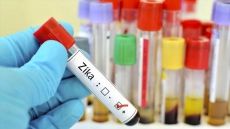 India Asks US To 'Withdraw Or Modify' Travel Advisory Over Zika Outbreak