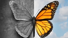 Living With Bipolar Disorder