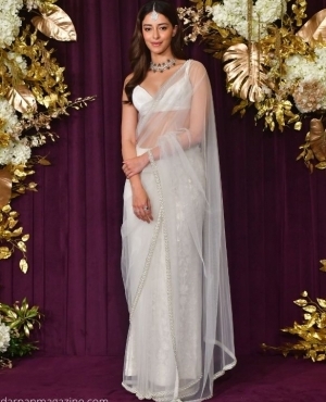 Ananla Pandey is a dream in her silver saree 