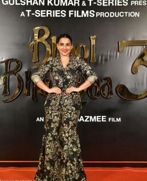 Vidya Balan is all smiles on the red carpet 