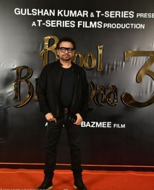 Director of the film Bhool Bhulaiyaa 3 Anees Bazmee makes an appearance 