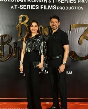 Madhuri Dixit and husband Sri Ram Nene are a power couple