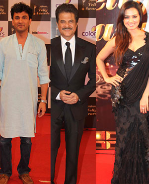13th Indian Telly Awards