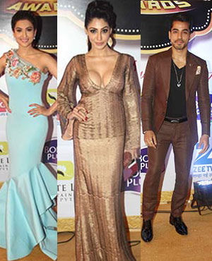 Gold Awards 2015 Red Carpet