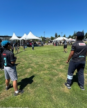 Lots of action on the cricket field 