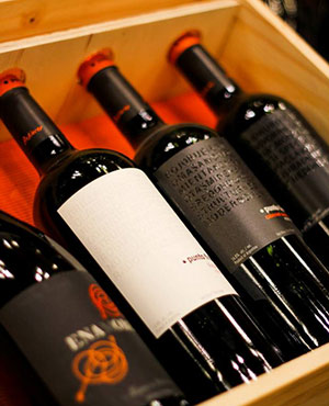 International Festival Tasting