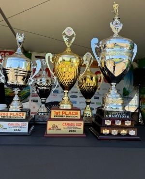 Showcase of trophies 