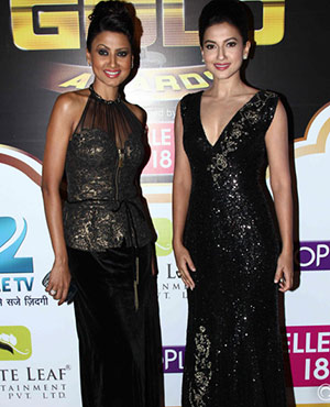 Zee Gold Awards 2014