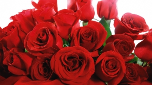 Put a colour to your relationship this Valentine’s Day