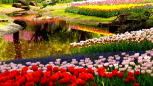 Spring Gardening Tips