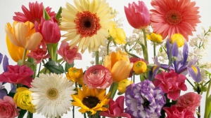 The right flower for your Valentine