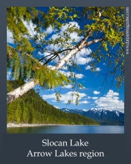 Summer Gems: 7 Lesser-Known Places to Visit in BC