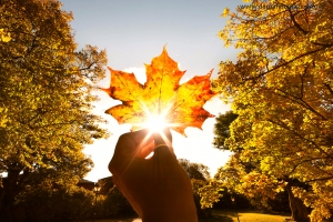 Why Travel Within Canada During COVID19