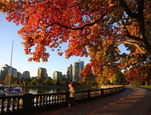Five Reasons to love Fall in Vancouver