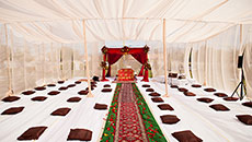 The Wedding Plan: Splurge or Save?