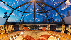 Road Less Taken: For the Adventurous of Hearts!